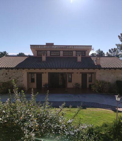 JLMR Hero Image (Cool dog)